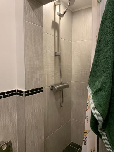 a bathroom with a shower with a green towel at Chambre complètement indépendante ! in Limoges