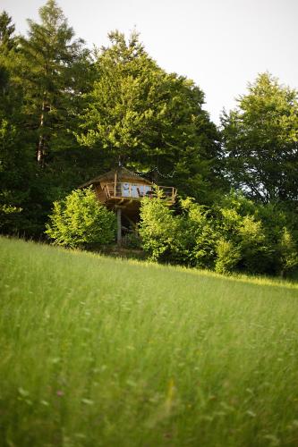 Wild House Donovaly