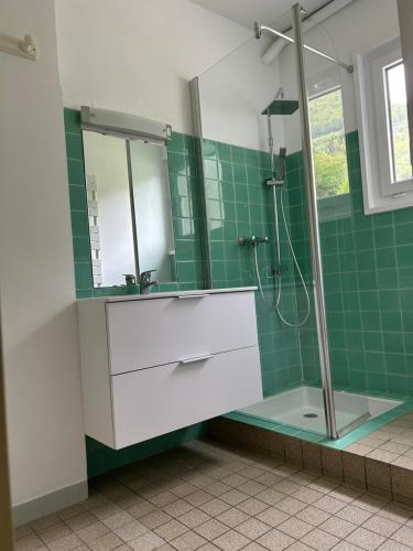 une salle de bain avec un lavabo et une douche dans l'établissement Maison de montagne proche Gavarnie 12-14 personnes, à Gèdre