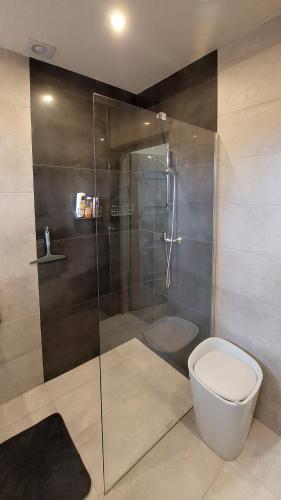 a bathroom with a toilet and a glass shower at Apartament Emmi in Imielin