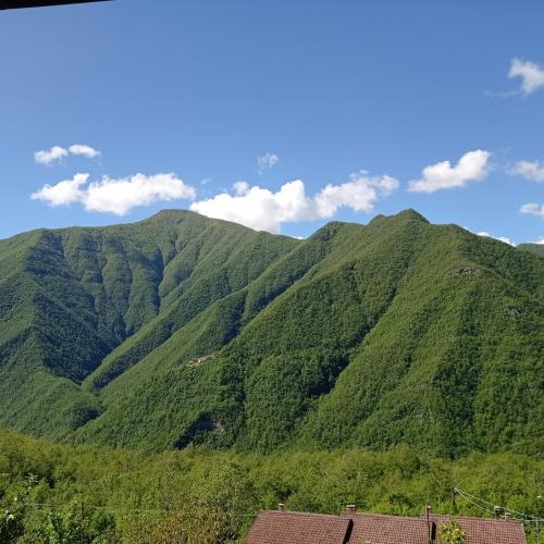 a mountain covered in green trees on a sunny day at AL CORNIOLO in Zerba