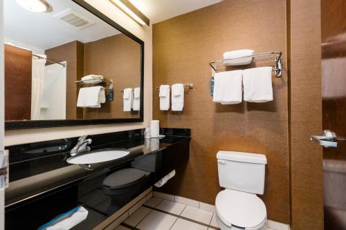 La salle de bains est pourvue de toilettes, d'un lavabo et d'un miroir. dans l'établissement Fairfield Inn & Suites by Marriott Charleston North/Ashley Phosphate, à Charleston