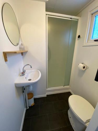 a bathroom with a shower and a toilet and a sink at Chalet Heische Tip in Zeeland, Noord-Brabant voor max 3 volwassenen en 2 kinderen in Zeeland