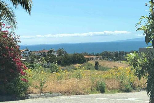 a view of the ocean from a field of flowers at 30 PCT OFF! Malibu Serene Cabin, Ocean View, Beach in Malibu