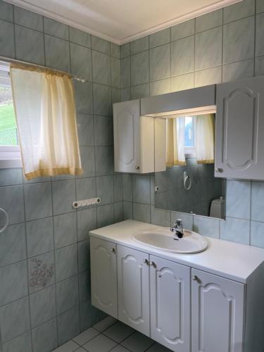 a bathroom with a white sink and a mirror at Aurland Stegastein Apartment in Aurland