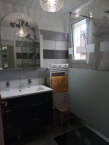 ein Bad mit einem Waschbecken und einem Spiegel in der Unterkunft Chez Nanou in Bailleul-sur-ThÃ©rain