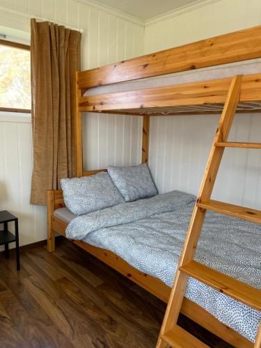 1 dormitorio con litera y escalera en Aurland Stegastein Apartment en Aurland