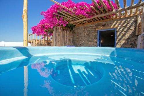 a blue swimming pool with a house with pink flowers at Apsenti couples only in Agios Ioannis Mykonos