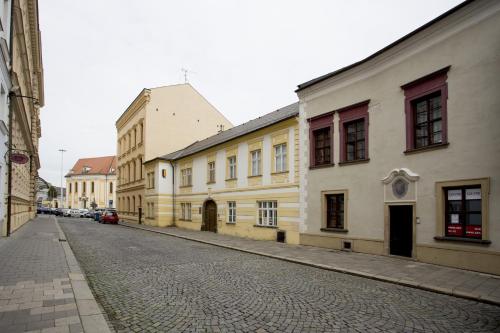 a cobblestone street in a city with buildings at Apartmán Mariánská 5 in Olomouc