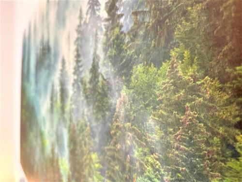 a view of a waterfall from a train at COZY Apartment in Bavarian Forest +POOL +SAUNA +NETFLIX in Zwiesel