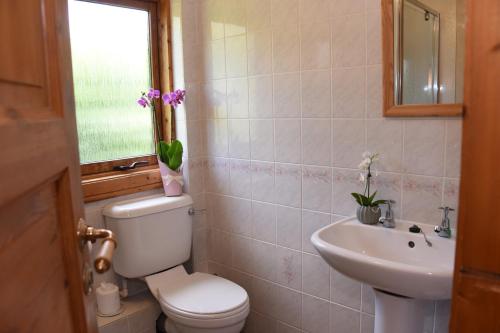 雷雅特的住宿－Tawny Owl Lodge，一间带卫生间、水槽和窗户的浴室
