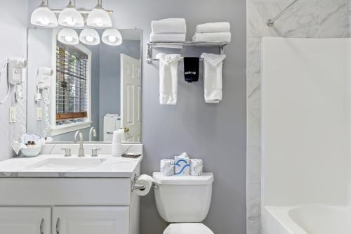 a bathroom with a toilet and a sink and a mirror at Sea Rose Suites in Ogunquit