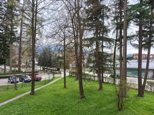 a park with green grass and trees and a road at Apartament Bukowy in Zakopane