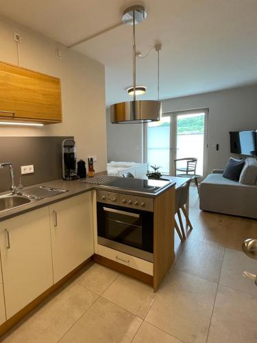 Η κουζίνα ή μικρή κουζίνα στο Appartements Rodenstein