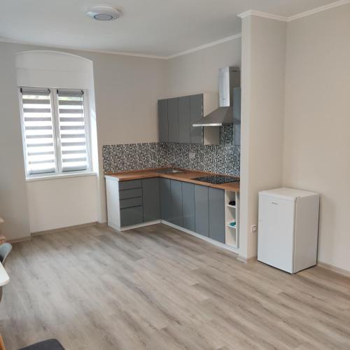 an empty kitchen with a counter and a refrigerator at Villa Pirken Hammer in Pirkenhammer