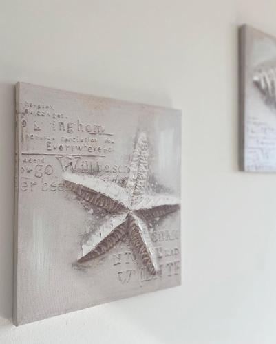 a picture of a starfish on a wall at Ačanski Apartments Bar in Bar