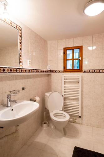 a bathroom with a toilet and a sink and a mirror at Chalupa Bedřichov in Bedřichov