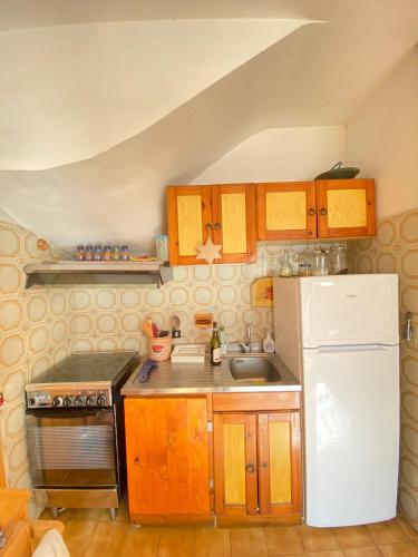 a kitchen with wooden cabinets and a white refrigerator at Un posto al sole in Fregene