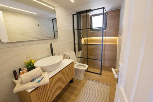 a bathroom with a sink and a toilet at Orsalia villa wellness in Poros