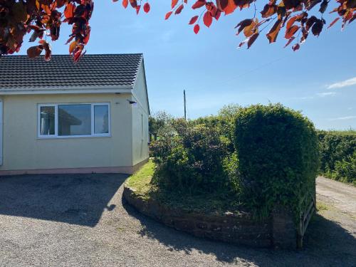 a house with a hedge next to a driveway at Home close to SW Coastal path in Hartland