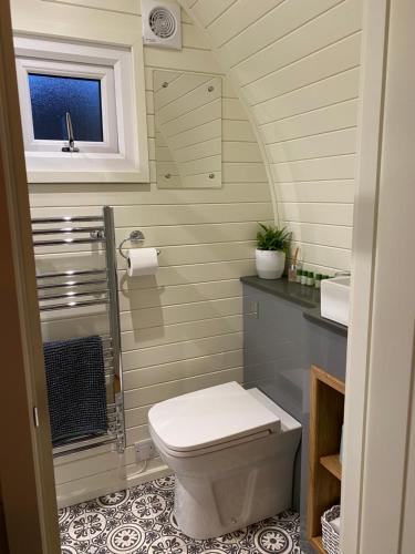 a small bathroom with a toilet and a window at Cwt y Gwenyn Glamping Pod in Conwy