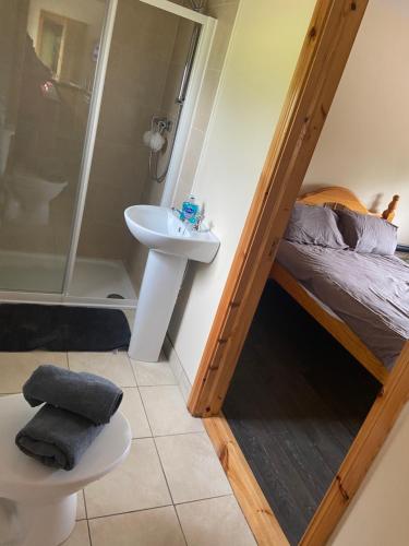 a bathroom with a bed and a shower and a sink at Higgins House in Ballyhaunis