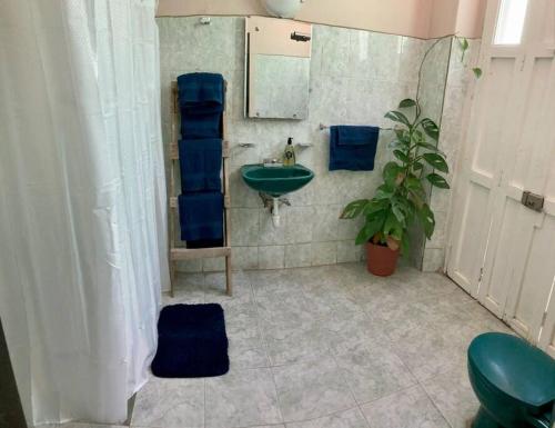 La salle de bains est pourvue d'un lavabo et d'une plante en pot. dans l'établissement CASA TERRA LINDA, à San Luis Potosí