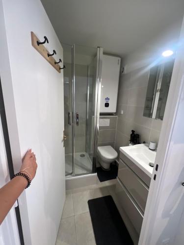 uma casa de banho com um chuveiro, um lavatório e um WC. em Appartement pied dans l’eau em La Seyne-sur-Mer