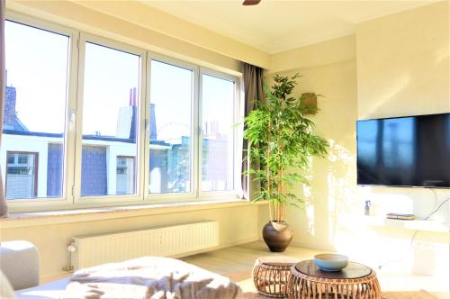 sala de estar con planta y ventana grande en Downtown 1BDR Apartment 4 en Amberes