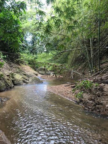 a stream of water with trees in the background at Jubilee Campsite Swim & Paint in Las Piedras
