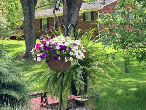 The Ashe Farm – Photos 2