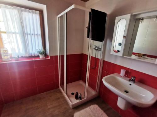 y baño con ducha y lavamanos. en Blumenstube en Sant’Orsola