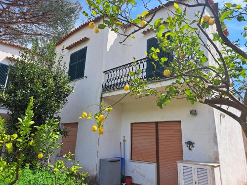 Το κτήριο όπου στεγάζεται  η βίλα