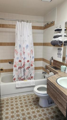 a bathroom with a toilet and a shower curtain at Golden Arrow Motel in Lamar