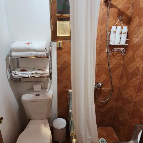 Koupelna v ubytování Hostal Illauca de Atacama