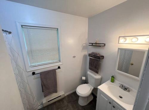 ein Bad mit einem WC, einem Waschbecken und einem Fenster in der Unterkunft Cozy cottage by the lake in Tobyhanna