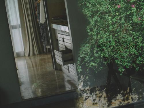 a reflection of a tree in a mirror at Kresna By The Sea By Kresna Hospitality in Seminyak