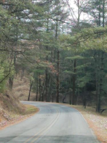an empty road with trees on the side of the road at CAPE CODE BEAUTY IN THE APPALACHIANS in Piney Creek