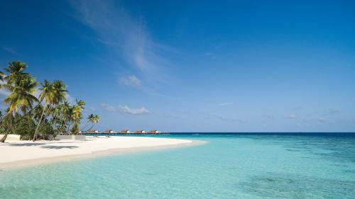 a beach with palm trees and the ocean at Park Hyatt Maldives Hadahaa in Gaafu Alifu Atoll