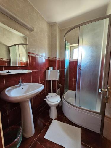 エフォリエ・ノルドにあるVila Rusidavaのバスルーム(洗面台、トイレ、シャワー付)