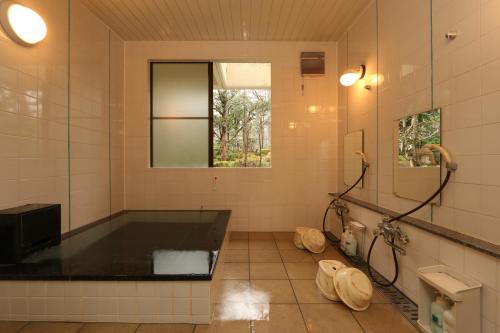 a bathroom with a bath tub and a sink at Teiensaryo Yamanakako in Yamanakako