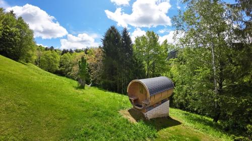 a stone bench on a grassy hill with trees at Ferienhaus auf 7 ha Alleinlage - Pool,Whirlpool, Sauna - Das Refugium Südsteiermark in Lieschen