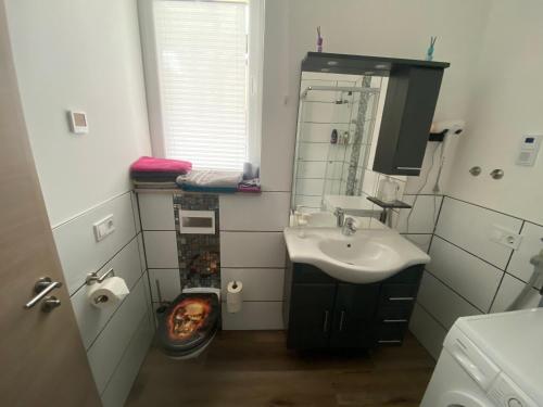 y baño con lavabo y espejo. en Schöne kleine Einraumwohnung mit Küche und Kamin in Holzthaleben, en Holzthaleben
