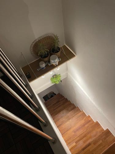 a set of stairs with potted plants on a shelf at busan UA Stay House 우아 스테이 in Busan