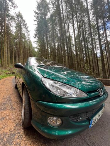 a green car parked on a road in the woods at Penthouse Canico Mar in Caniço