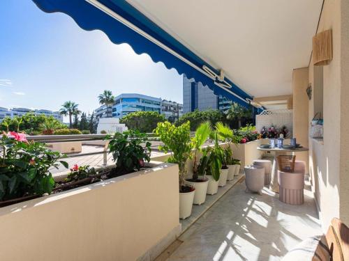 Banus Home