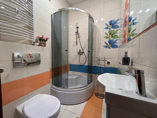 a bathroom with a shower and a toilet and a sink at Apartament Klaudia Polanica-Zdrój in Polanica-Zdrój