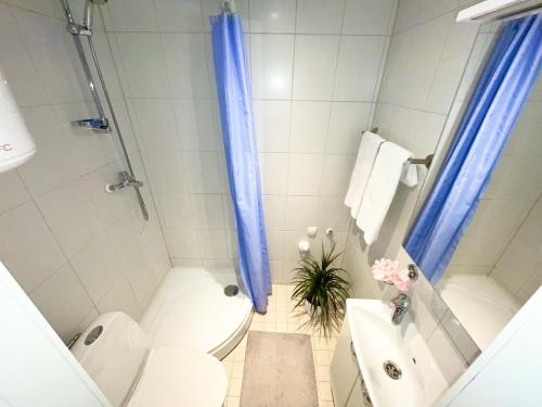 a bathroom with a toilet and a shower with blue curtains at Haapsalu, Tallinna maantee in Haapsalu