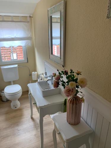 a bathroom with a sink and a toilet and a mirror at Pension Zweck in Gößweinstein