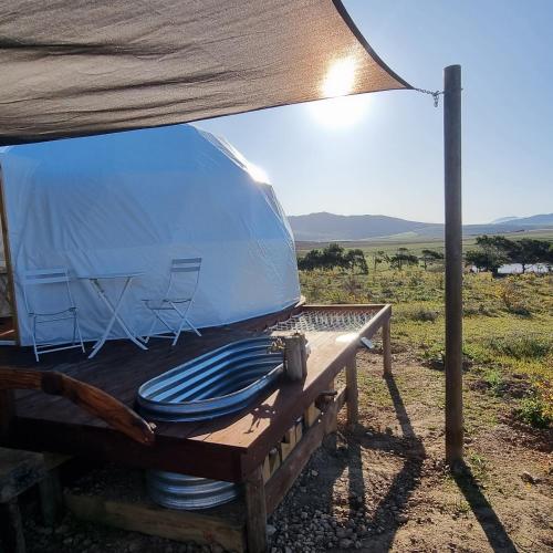 a tent sitting on a table in a field at Pom Gratz - EcoDomes in Hartebeest Rivier